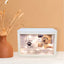 Lighted Large Pet Urn For Dogs With Photo