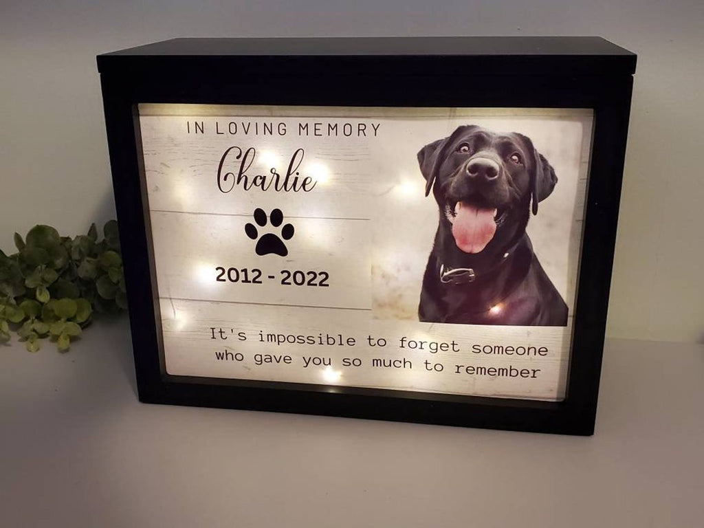 Lighted Large Pet Urn For Dogs With Photo