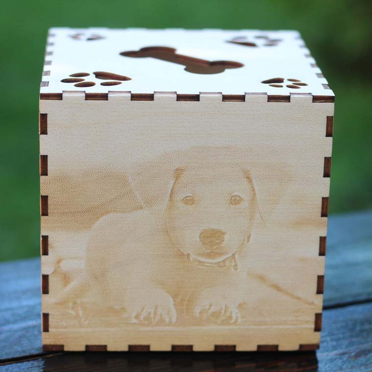 Personalized Memorial Light Photo Box, Sympathy Gift for Pet Loss Ones