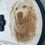 Custom Engraved Pet Memorial Sign, 3D Pawprint