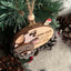 3D Santa, Reindeer Countdown to Christmas Sliding Ornament