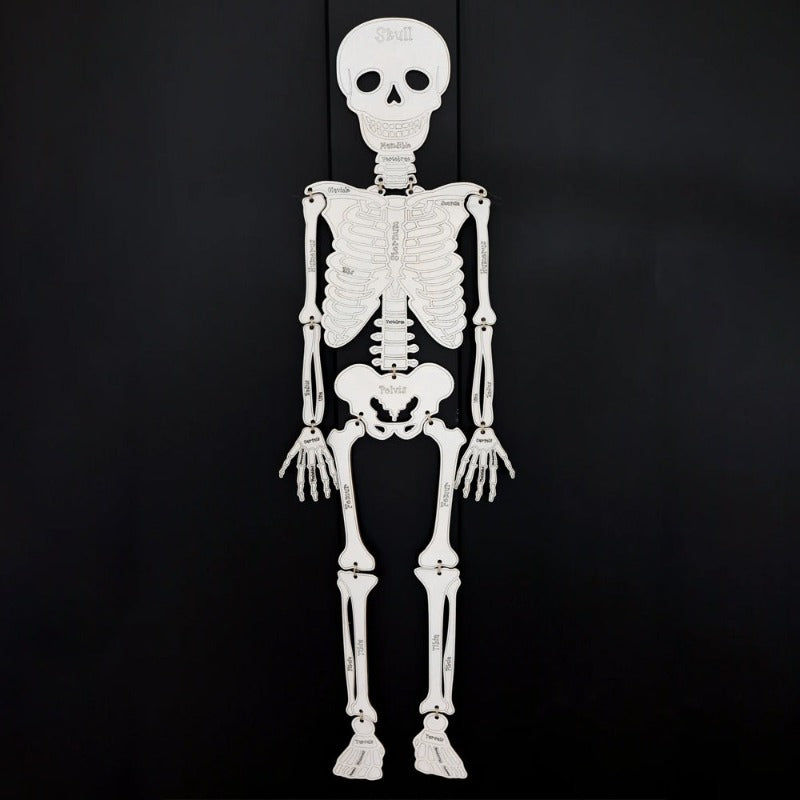 Build Your Own Skeleton Halloween Kit