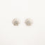 Seashell Stud Earrings