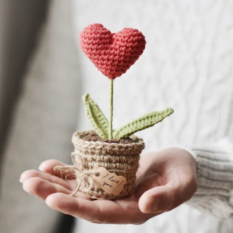 Red Heart Plant In A Pot Crochet - Handmade gift for anniversary, couple gift