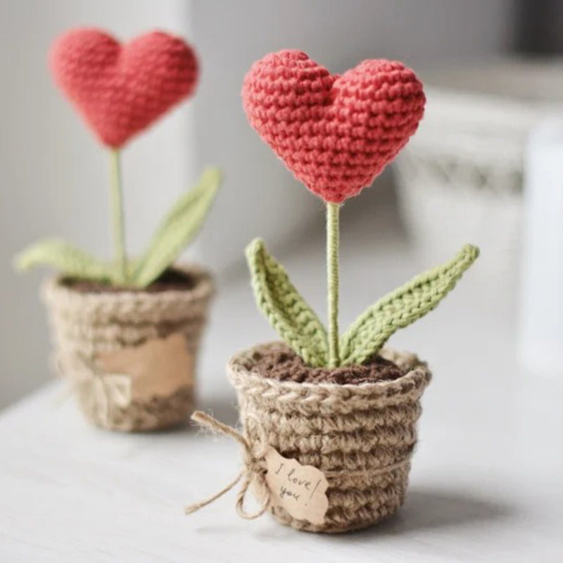 Red Heart Plant In A Pot Crochet - Handmade gift for anniversary, couple gift